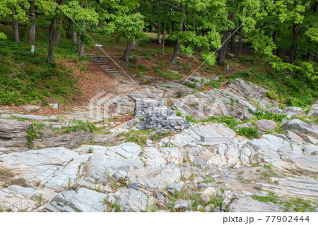 春 蓬莱島公園の景色 春 蓬莱島公園の景色 77902444