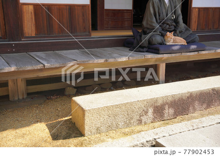 坐禅 坐禅 77902453