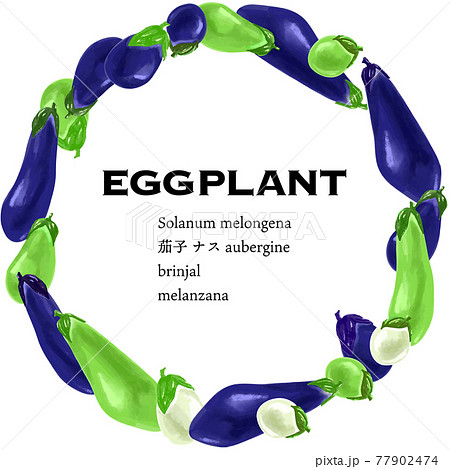 人気の夏野菜 茄子のバリエーション円形フレーム ベクターイラストのイラスト素材