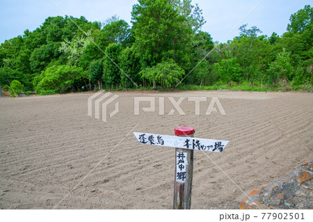 春　蓬莱島公園付近の道標　長瀞町 77902501