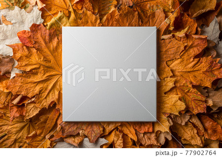 Autumn mockup template with empty white frame with textured art canvas and dry fall leaves on background. 77902764