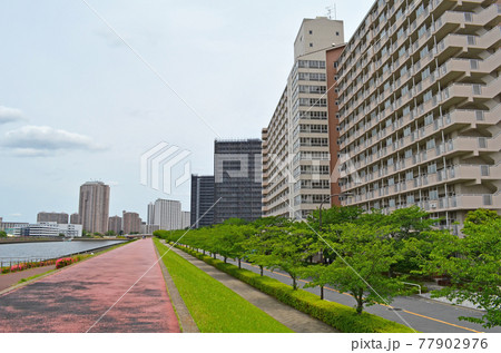 隅田川水辺テラスとスーパー堤防と町並 荒川区南千住にて 隅田川水辺テラスとスーパー堤防と町並 荒川区南千住にて 77902976