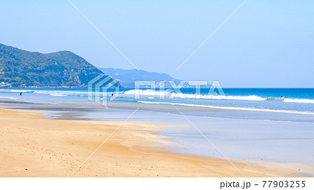 伊豆白浜の海（白浜大浜海水浴場） 77903255