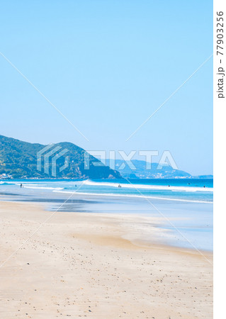 伊豆白浜の海（白浜大浜海水浴場） 77903256