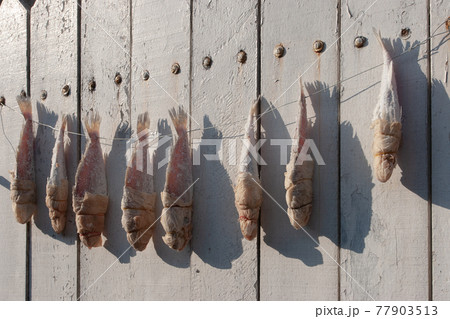 a Dried fish on boards at sun day a Dried fish on boards at sun day 77903513