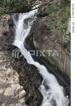 a Upstream of waterfall bay at Victoria Road, HK a Upstream of waterfall bay at Victoria Road, HK 77903856