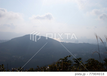 Hong Kong suburbs, view from the mountain 31 Dec 2006 Hong Kong suburbs, view from the mountain 31 Dec 2006 77904018