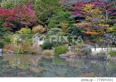 東山動植物園点景のイラスト素材
