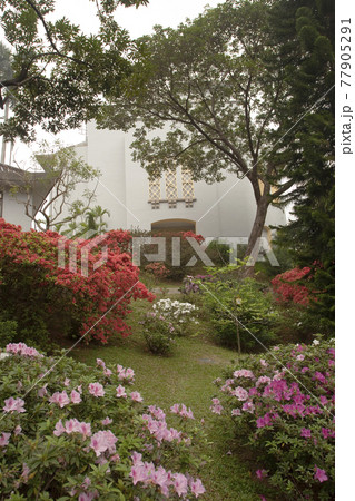 spring time , the Government House ,hong kong 24 Nov 2006 spring time , the Government House ,hong kong 24 Nov 2006 77905291