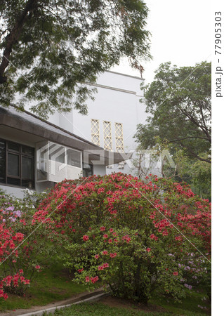 spring time , the Government House ,hong kong 24 Nov 2006 spring time , the Government House ,hong kong 24 Nov 2006 77905303