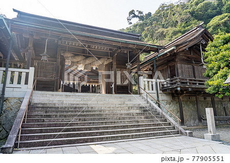 島根県松江市　春の美保神社 77905551