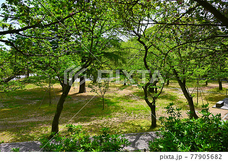小丸山城址公園 本丸 七尾市 小丸山城址公園 本丸 七尾市 77905682