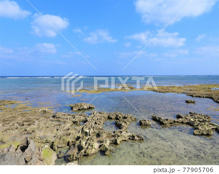 沖縄の海　2021 77905706