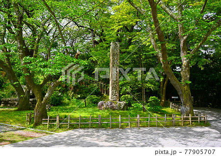 小丸山城址　小丸山公園　七尾市 77905707