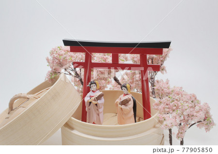 A Geisha on a flowering tree branches background 77905850