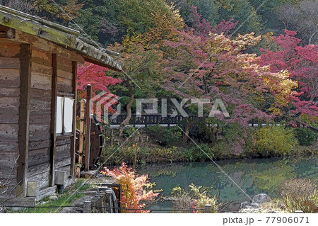 東山動植物園点景 77906071