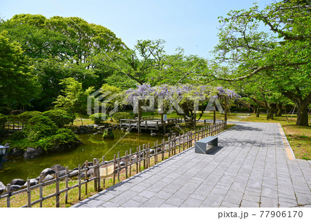 小丸山城址公園 本丸 庭園 七尾市 小丸山城址公園 本丸 庭園 七尾市 77906170