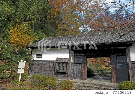 東山動植物園点景 77906218