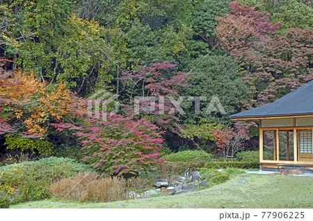 東山動植物園点景 東山動植物園点景 77906225
