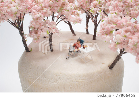 a fun of mini figure at Cherry blossoms a fun of mini figure at Cherry blossoms 77906458