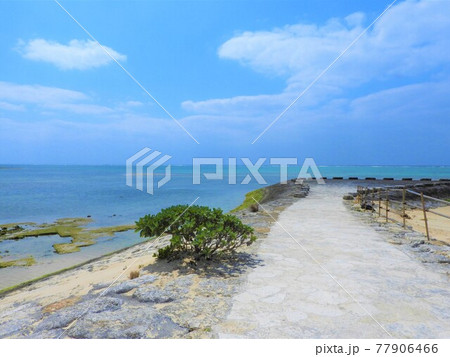 沖縄の海　2021 77906466