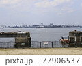 夏の名古屋港 77906537