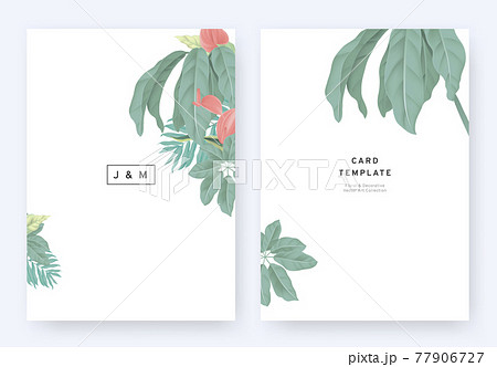 Minimalist floral wedding invitation card template design, tropical plants and pink anemone flowers 77906727