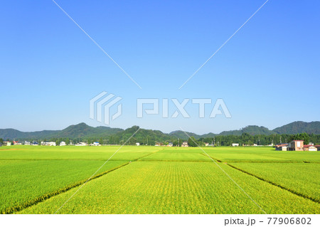 2020年夏、田沢湖線の車窓からの風景と周辺の風景 77906802