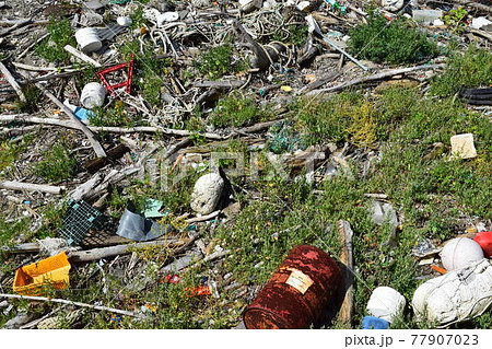 海岸の漂着物 環境問題 ゴミ問題 77907023