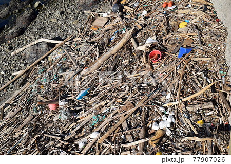 海岸の漂着物 環境問題 ゴミ問題 77907026