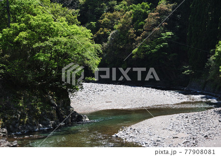山の中の清流 山の中の清流 77908081