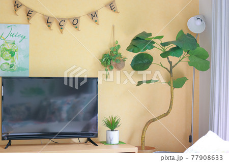 テレビと観葉植物 インテリアのイメージの写真素材