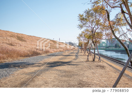 新河岸川沿い／東京都北区赤羽北 77908850