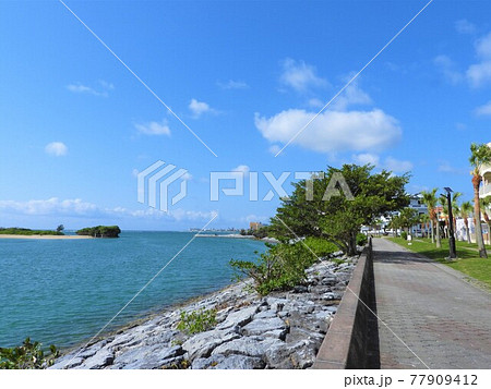 沖縄の海 2021 沖縄の海 2021 77909412