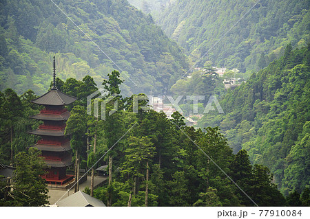 身延山久遠寺の五重塔と霧の山間/山梨県 身延山久遠寺の五重塔と霧の山間/山梨県 77910084