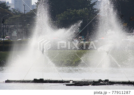 サンパウロ市にあるイビラプエラ公園内の噴水　ブラジル 77911287