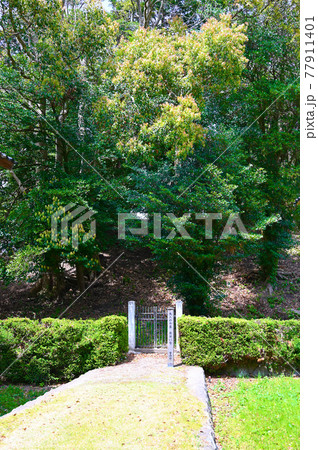 亀塚古墳 中能登町 亀塚古墳 中能登町 77911401