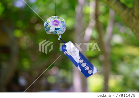 裏庭背景風鈴の涼感 裏庭背景風鈴の涼感 77911479