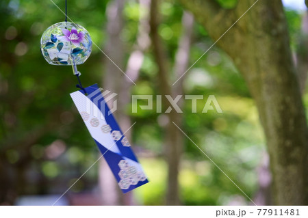 裏庭背景風鈴の涼感2 77911481