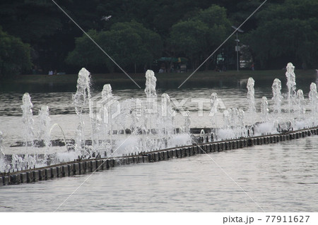 サンパウロ市にあるイビラプエラ公園内の噴水 ブラジル サンパウロ市にあるイビラプエラ公園内の噴水 ブラジル 77911627
