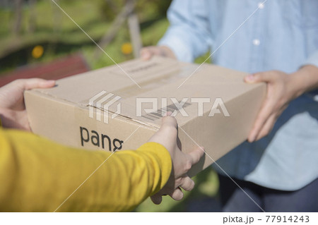 77914243