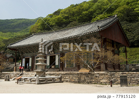 高敞 スポット 風景 77915120