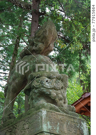揖夜神社の狛犬(吽形像)（島根県松江市東出雲町揖屋） 77915664