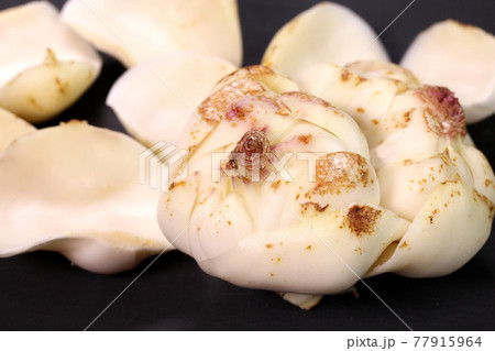 黒背景の百合根　 77915964