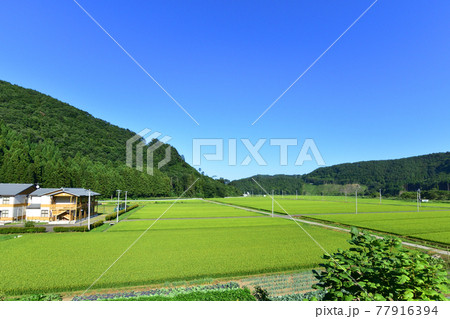 2020年夏、三陸鉄道の宮古駅から普代駅間の車窓からの風景 2020年夏、三陸鉄道の宮古駅から普代駅間の車窓からの風景 77916394