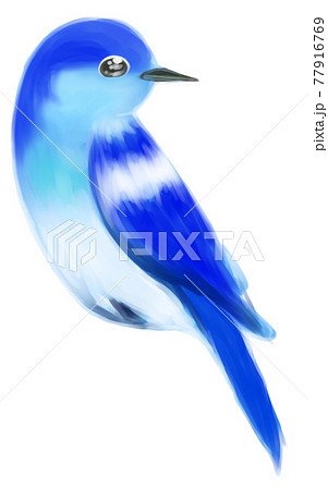 向かって右側を向いている青い鳥のイラストのイラスト素材