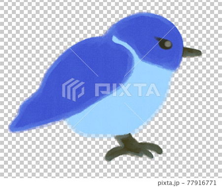 Illustration Of A Blue Bird Facing To The Right Stock Illustration