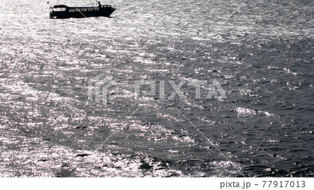 笹川流れの日本海上を遊覧する遊覧船 77917013