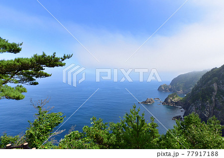 2020年夏、岩手県北山崎と周辺の風景 77917188