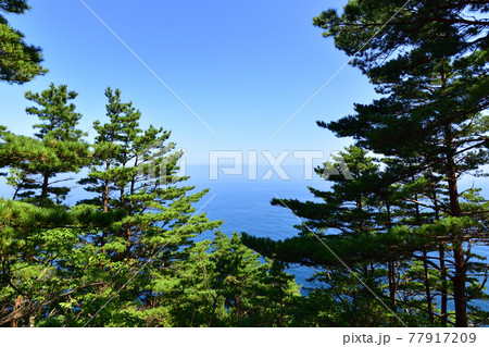2020年夏、岩手県北山崎と周辺の風景 2020年夏、岩手県北山崎と周辺の風景 77917209